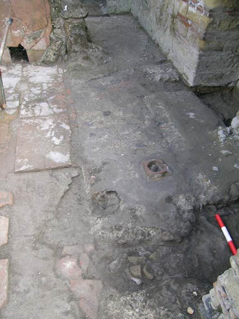 Ins Or II, 5, Herculaneum. May 2004. Looking east at flooring along south side of shop-room. Photo courtesy of Nicolas Monteix.